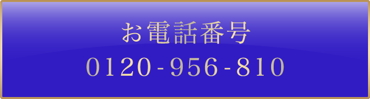 ご新規様お問い合わせ番号 0120-956-810